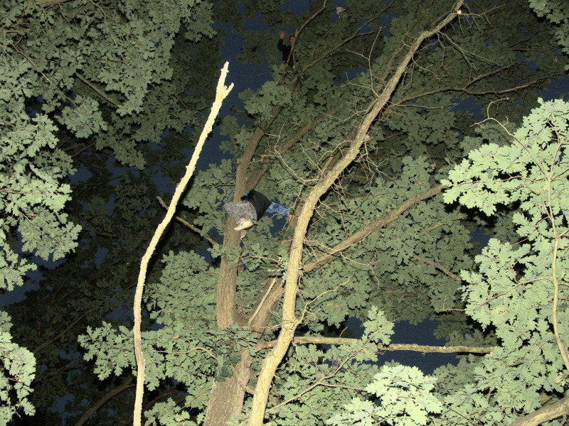 mb080729087.jpg